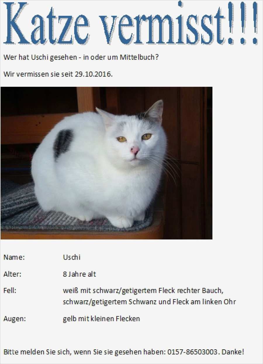 Katze Vermisst Vorlage Angenehm Tierschutzverein Im Landkreis Biberach E V Katzen Seit 2016