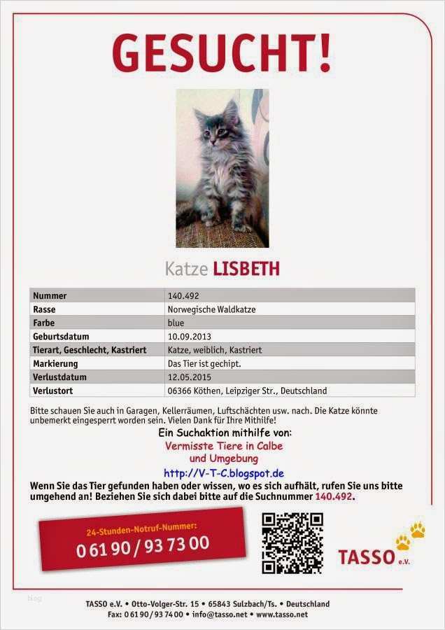 Katze Vermisst Vorlage Angenehm Vermisste Tiere In Calbe Und Umgebung Suchnummer 140