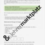 Katze Vermisst Vorlage Beste Nett Vorlagen Einfach fortsetzen Ideen Entry Level