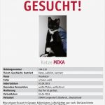Katze Vermisst Vorlage Beste Tierarztpraxis Gusborn Dr Reinhard Goy