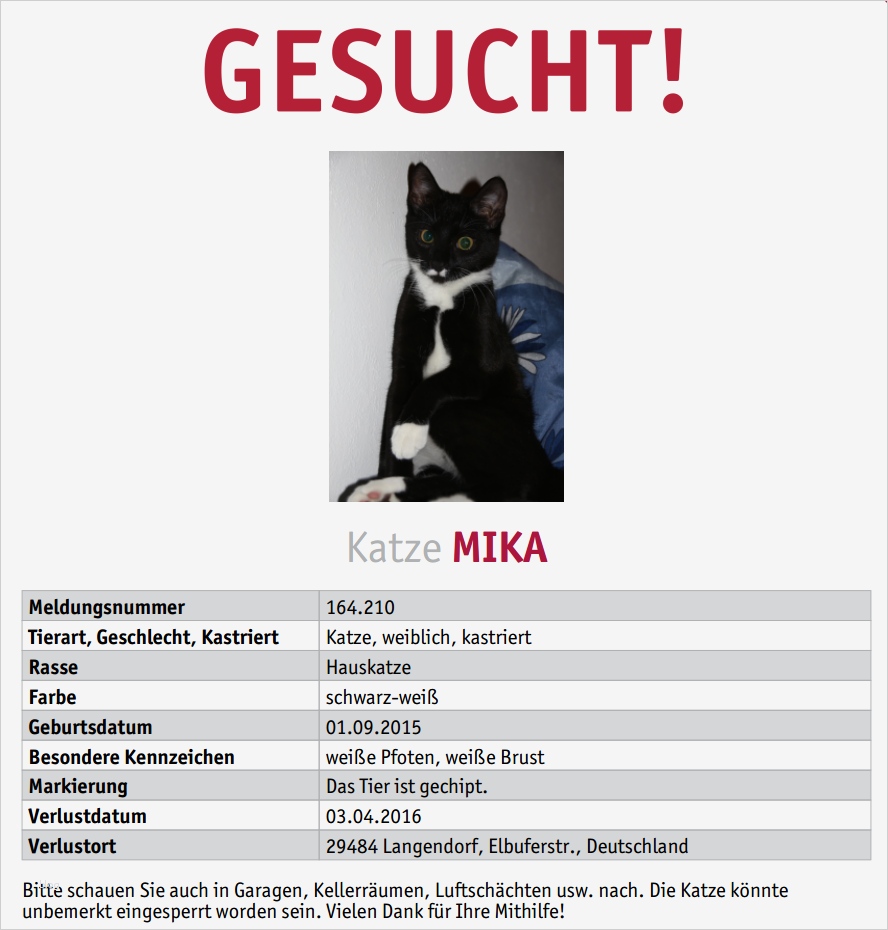 Katze Vermisst Vorlage Beste Tierarztpraxis Gusborn Dr Reinhard Goy