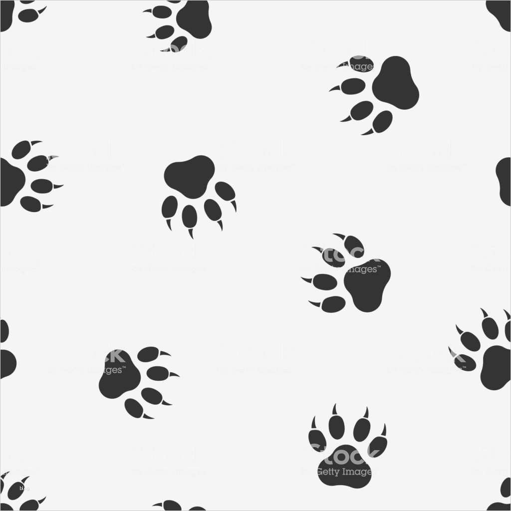 Katze Vermisst Vorlage Elegant Schön Hund Pfote Vorlage Fotos Entry Level Resume