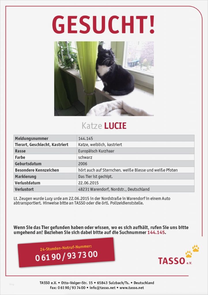 Katze Vermisst Vorlage Großartig Vermisst
