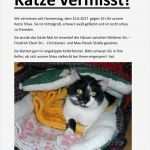 Katze Vermisst Vorlage Inspiration Vermisste Katzen