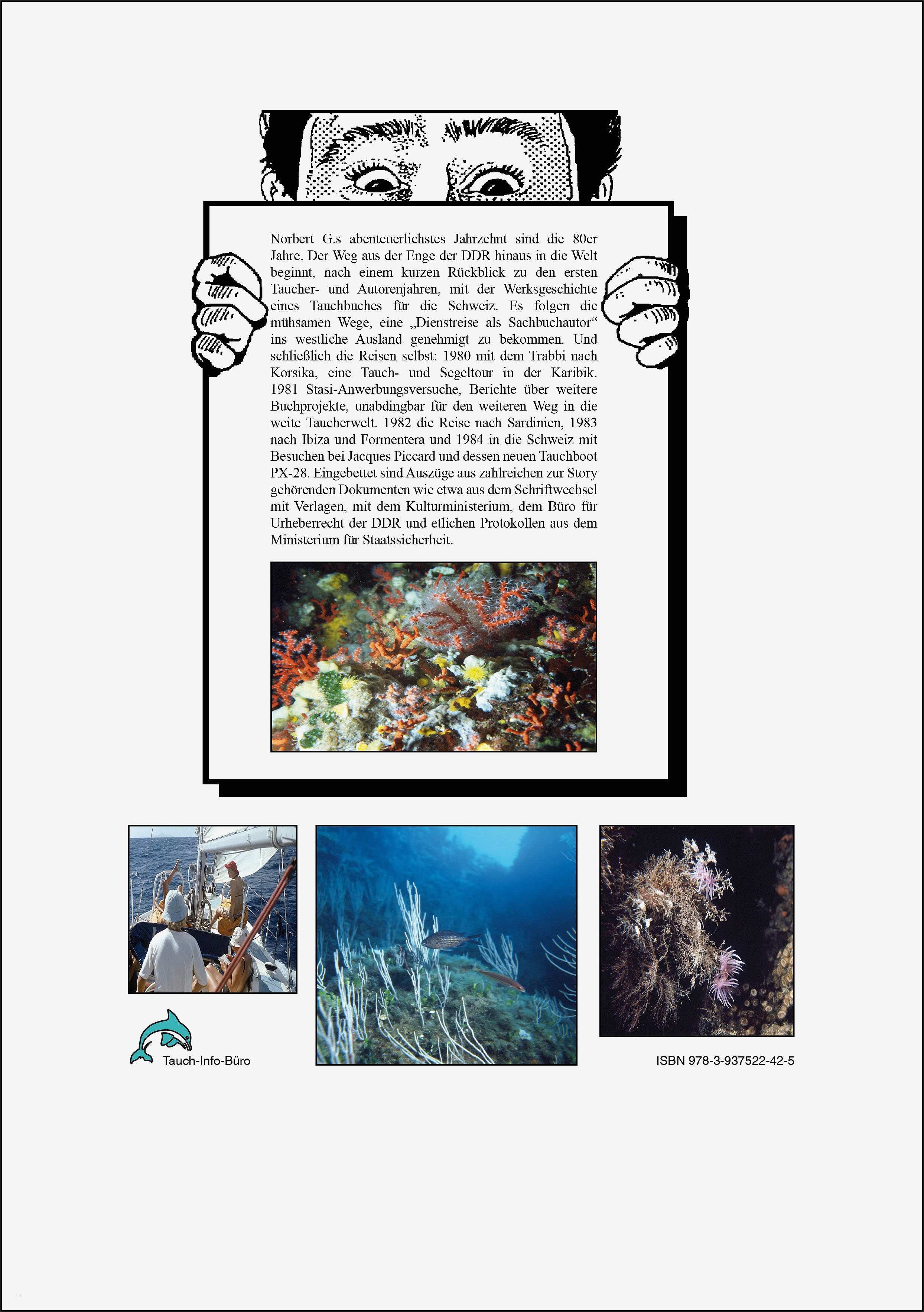 Katze Vermisst Vorlage Luxus Ausgezeichnet Tauche fort Galerie Ideen fortsetzen