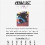 Katze Vermisst Vorlage Wunderbar Vermisst