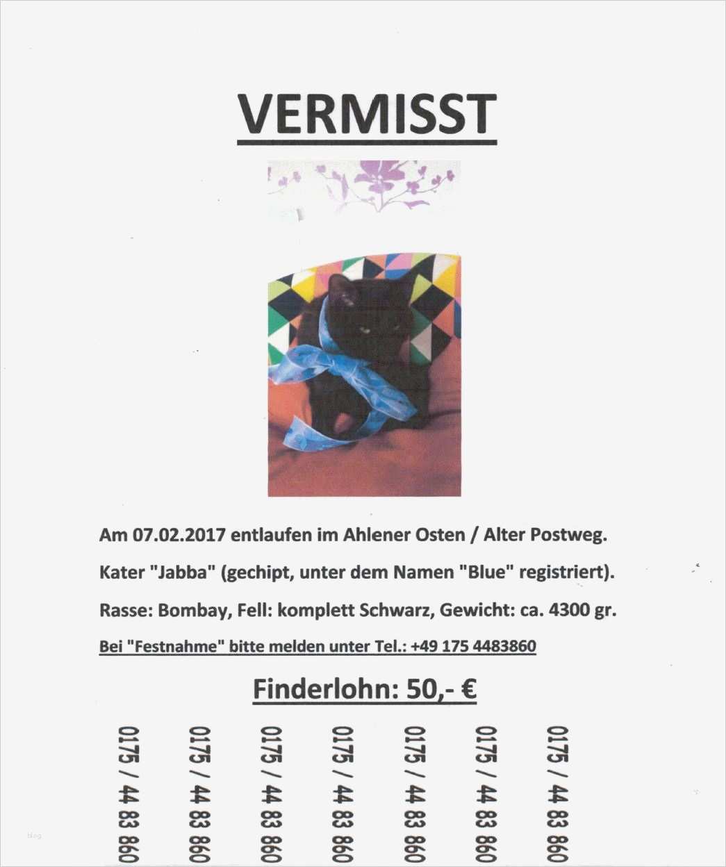 Katze Vermisst Vorlage Wunderbar Vermisst