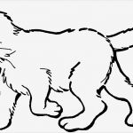 Katzen Malen Vorlagen Einzigartig Suesse Katze Laeuft Ausmalbild & Malvorlage Tiere