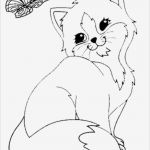 Katzen Malen Vorlagen Elegant Die Besten 25 Ausmalbilder Katzen Ideen Auf Pinterest