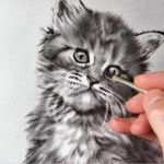 Katzen Malen Vorlagen Erstaunlich Bild Katze Malen Zeichnen Fotografie Von Stefan Pabst