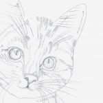 Katzen Malen Vorlagen Erstaunlich Inspiration Katze In Acryl Malen Diy Projekt