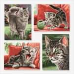 Katzen Malen Vorlagen Erstaunlich Samtpfoten Malen Nach Zahlen Schipper 28 99