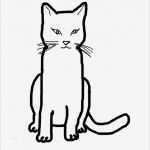 Katzen Malen Vorlagen Genial Datei Lrg 119 Katze Colorpoint Mischling