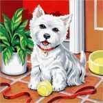 Katzen Malen Vorlagen Genial Katzen Und Hund Doppelset Malen Nach Zahlen 12 99