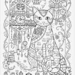 Katzen Malen Vorlagen Großartig Die Besten 17 Ideen Zu Ausmalbilder Katzen Auf Pinterest