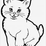 Katzen Malen Vorlagen Großartig Die Besten 25 Ausmalbilder Tiere Ideen Auf Pinterest