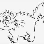 Katzen Malen Vorlagen Gut Ausmalen Wuschels Malvorlagen