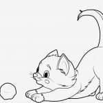 Katzen Malen Vorlagen Inspiration Kostenlose Malvorlage Katzen Katze Mit Wollknäuel Zum