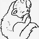 Katzen Malen Vorlagen Neu Katzen Malvorlagen Malvorlagen1001