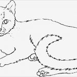 Katzen Malen Vorlagen Schön Katze Ausmalbild 03 Dorf Pinterest