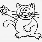 Katzen Malen Vorlagen Schönste Katzen Wuschels Malvorlagen