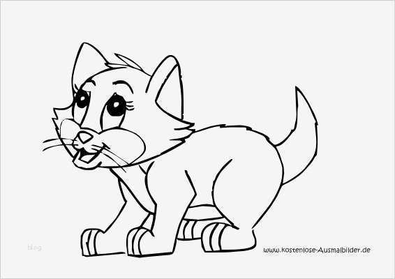 Katzen Malen Vorlagen Wunderbar Ausmalbilder Kleine Katze Tiere Zum Ausmalen