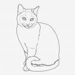 Katzen Malen Vorlagen Wunderbar Kostenlose Malvorlage Katzen Katzenrassen Siamkatze Zum