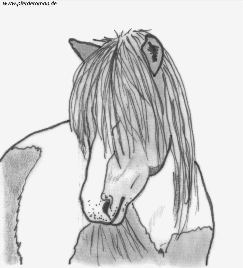 Kaufmännischer Schriftverkehr Vorlagen Kostenlos Süß Pferdebilder Zum Ausmalen