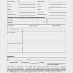 Kaufvertrag Fahrrad Vorlage Word Süß Kaufvertrag Fahrrad Vorlage Word Neu Küchenideen Küchen