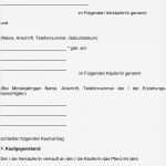 Kaufvertrag Pferd Vorlage Neu Kaufvertrag Pferd Pferdekaufvertrag Zwischen