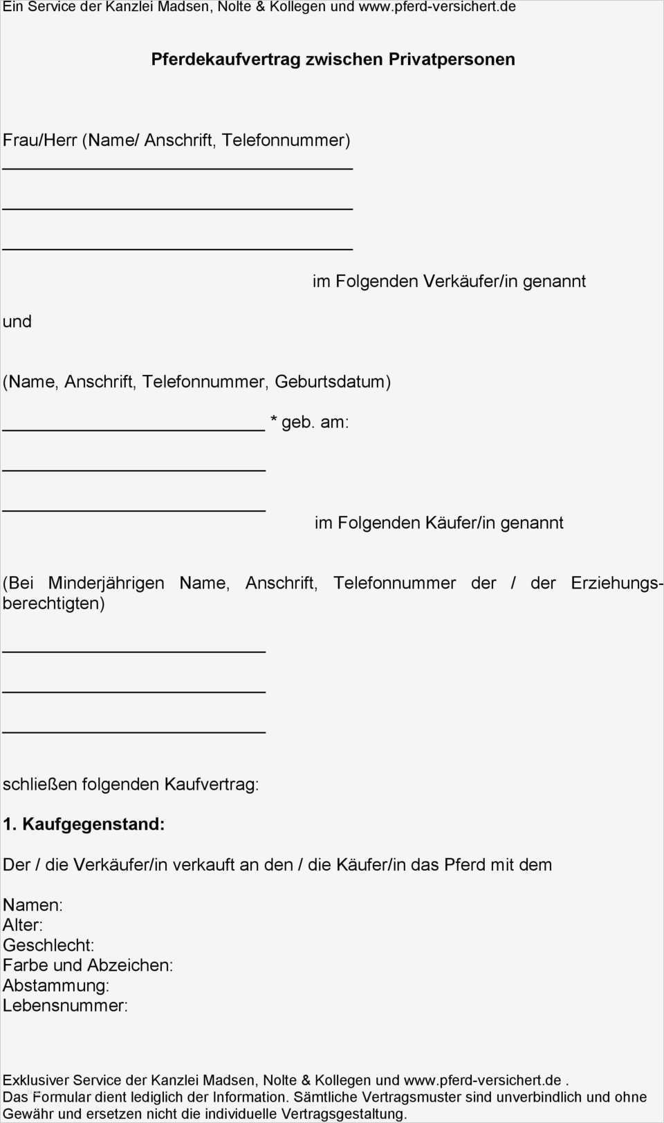 Einfacher Kaufvertrag Pferd