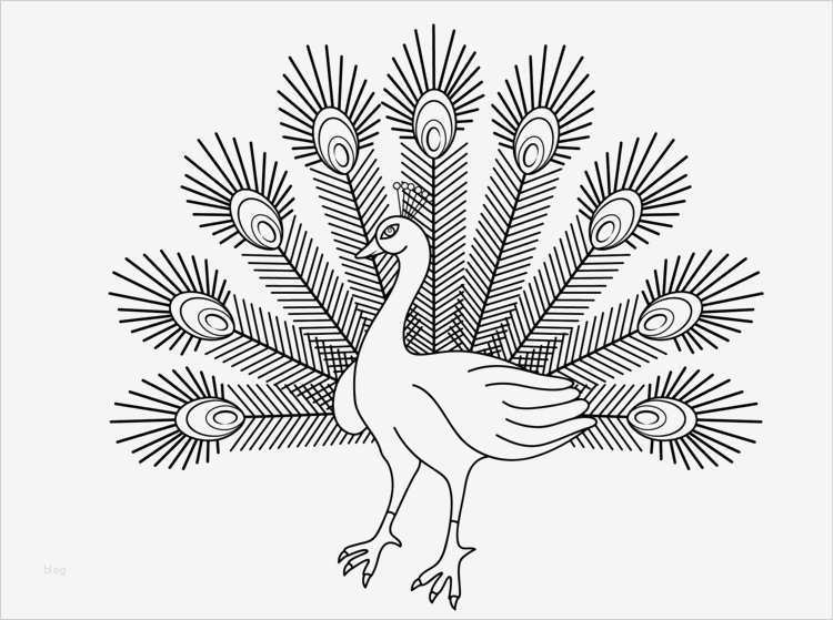 Keilrahmen Gestalten Vorlagen Anleitungen Gut Keilrahmen Gestalten Vorlagen Kostenlos Einzigartig Schöne