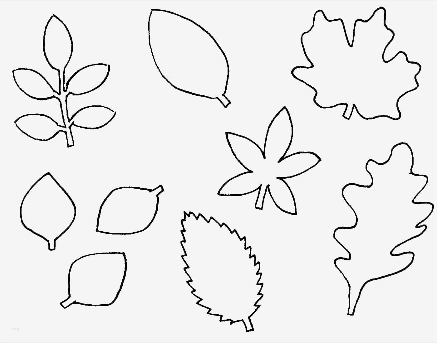 Kerzen Vorlagen Zum Ausdrucken Hübsch Herbst Und Halloween Kerzen Mit Vorlage Handmade Kultur