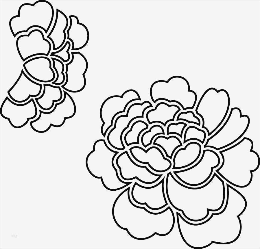 Kerzen Vorlagen Zum Ausdrucken Wunderbar Oz Shop Vorlagen Archiv Creative Living