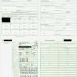 Kfz Gutachten Vorlage Großartig Vollmacht Kfz Verkauf Vorlagen F R Kfz Fahrzeuge Und