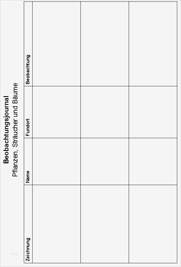 Kinderbeobachtung Vorlage Bewundernswert Schulmaterial Arbeitsblätter Für Unterstufe