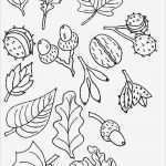 Kindergottesdienst Vorlagen Kostenlos Beste Die Besten 17 Ideen Zu Kostenlose Malvorlagen Auf