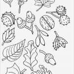 Kindergottesdienste Vorlagen Erstaunlich Ausmalbilder Herbst 07