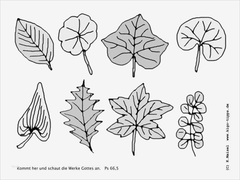 Bildmaterial 1 Die KiGo Tipps Kindergottes nst