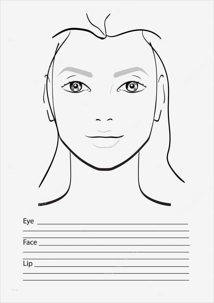 Kinderschminken Vorlagen Pdf Cool Gesicht Diagramm Make Up Artist Leer Vorlage Vektor