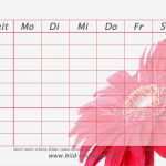 Klassendienste Vorlagen Ausdrucken Inspiration Ungewöhnlich Line Stundenplan Vorlage Zeitgenössisch