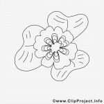 Kleeblatt Vorlage Zum Ausdrucken Best Of Kleeblatt Bild Zum Ausmalen