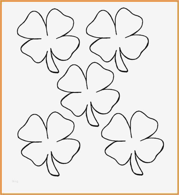 Kleeblatt Vorlage Zum Ausdrucken Best Of Malvorlage Kleeblatt Vorlage Zum Ausdrucken Best Of Malvorlage