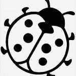 Kleeblatt Vorlage Zum Ausdrucken Genial Ausmalbilder Marienkafer Kostenlos Malvorlagen Zum