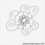 Kleeblatt Vorlage Zum Ausdrucken Gut Kleeblatt Bild Zum Ausmalen