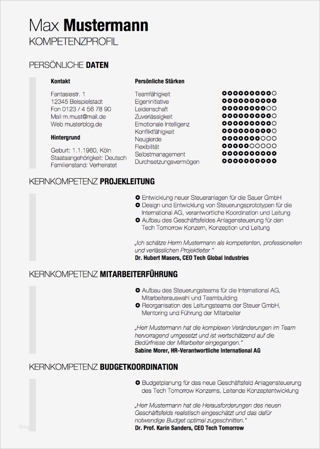 Kompetenzprofil Vorlage Inspiration Bewerbung Als Manager so Positionieren Sie Sich