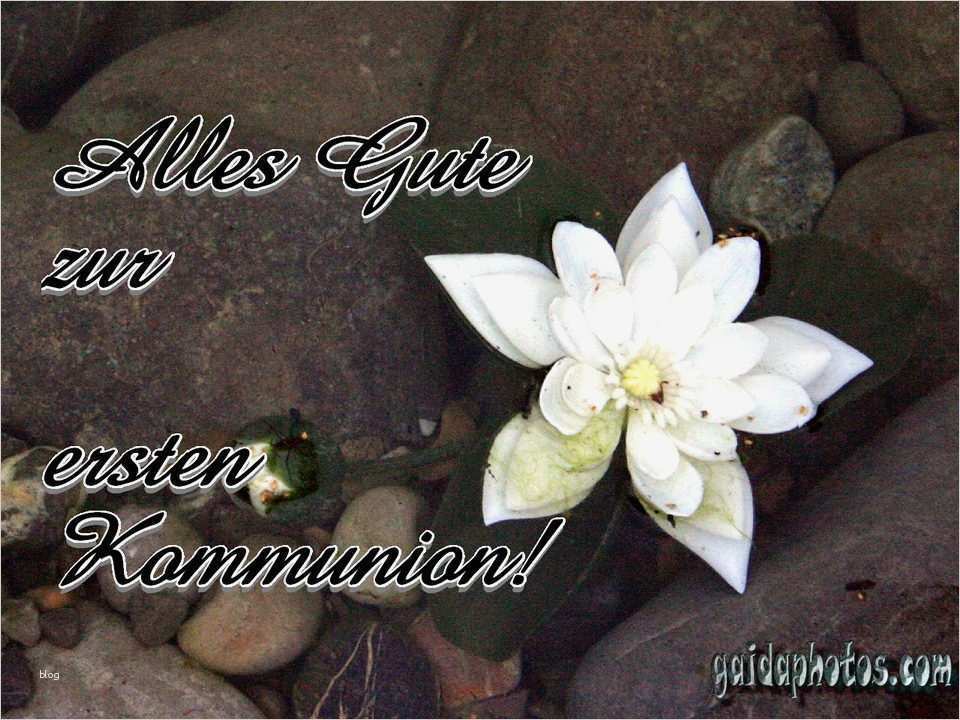 Konfirmationskarten Vorlagen Zum Ausdrucken Cool Kostenlose Karten Zur Kommunion Gaidaphotos Fotos Und Bilder