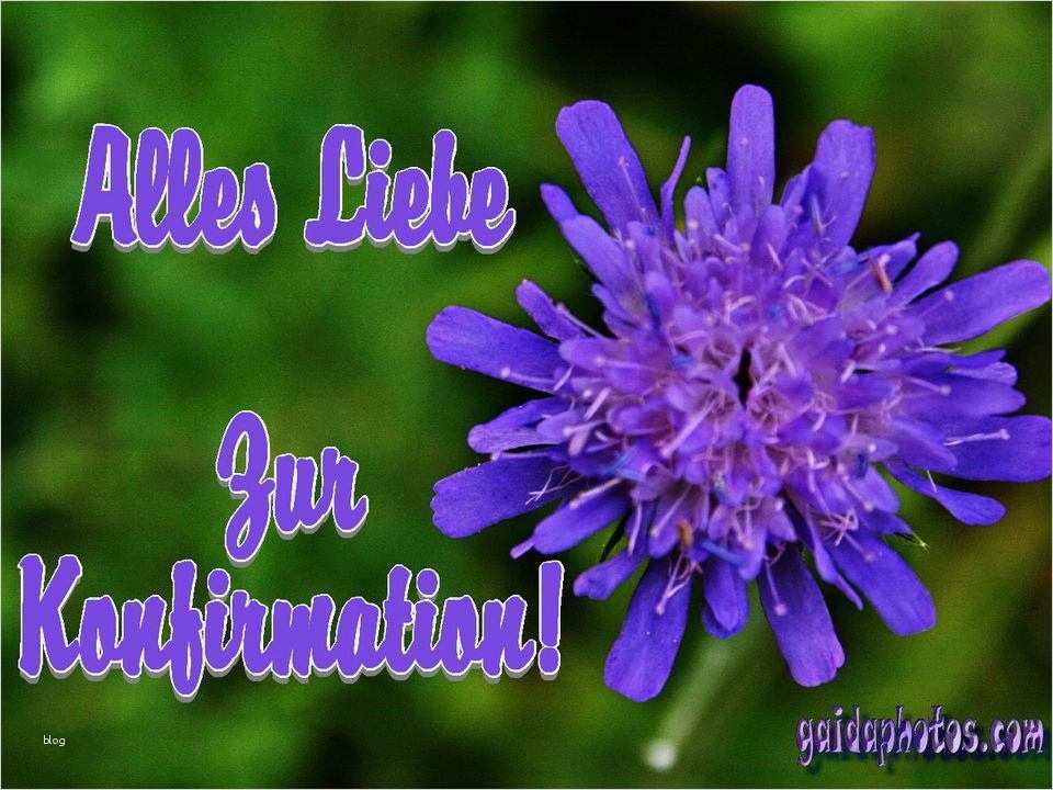 Konfirmationskarten Vorlagen Zum Ausdrucken Fabelhaft Kostenlose Karten Zur Konfirmation Gaidaphotos Fotos Und