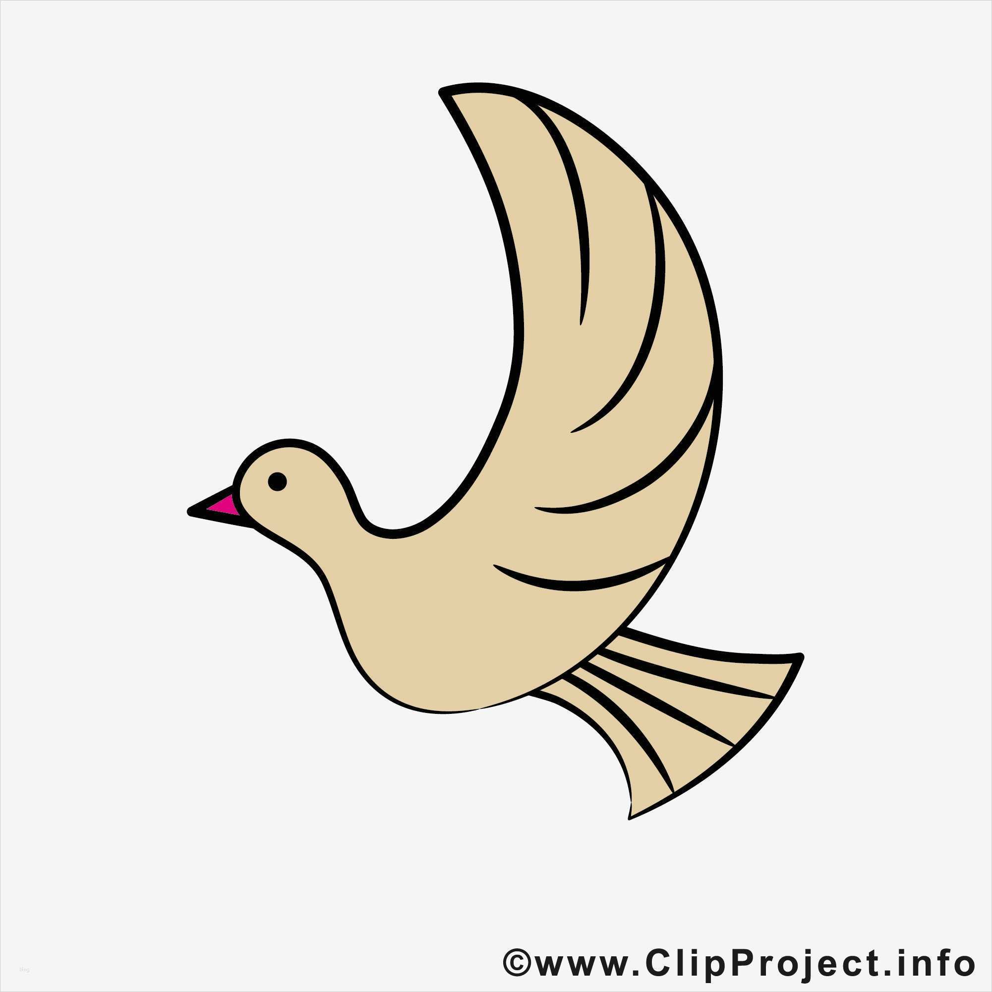 Konfirmationskarten Vorlagen Zum Ausdrucken Schönste Einladungskarten Gestalten Und Ausdrucken Mit Konfirmation