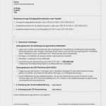 Konformitätserklärung Vorlage Pdf Angenehm Großzügig Blatt Vorlage Pdf Zeitgenössisch Entry Level